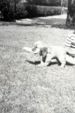 Bob and his dog Topper 1948