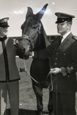 At a ceremony at which a mule, tentatively named, "Broadmoor" was donated to the US Military Academy at West Point by the Pikes Peak Rodeo Association through the efforts of the US Air Force Academy are (Left to Right) Colonel A. H. Hamblen, Jr. Commanding Officer, 2nd Regiment, US Corps of Cadets; Cadet C. Robert Arvin, First Captain and Brigade Commander of the Corps of Cadets; Air Force Cadet Bart Holoday, Cadet Wing Commander and Mr. William Thayer Tutt, Chairman, Pikes Peak Rodeo Association Mule Donated to USMA October 9, 1964